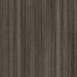 Shadow elm